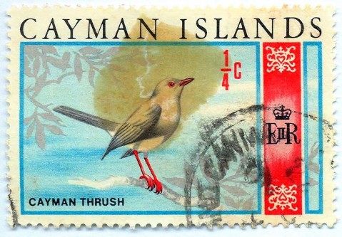 Grand Cayman Thrush cent stamp Sep8, 1970