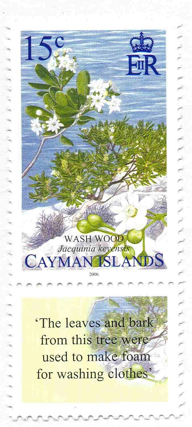 Wash Wood 15c stamp Feb.23-06